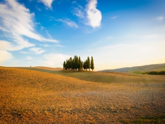 Toscana_2014-7