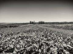 Toscana_2014-8