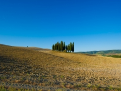 Toscana_2014-9